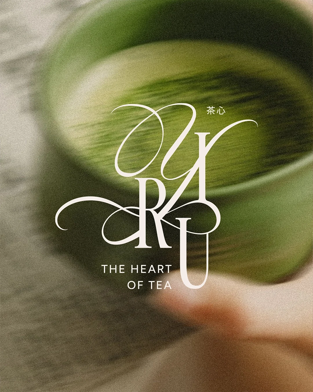 matcha brand identity design 10